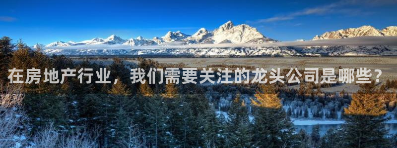 和记官网 公司：在房地产行业，我们需要关注的龙头公司是哪些？