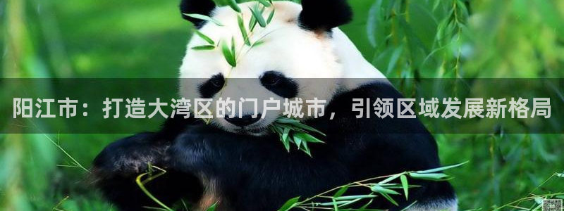 和记娱乐捕鱼官网：阳江市：打造大湾区的门户城市，引领区域发展