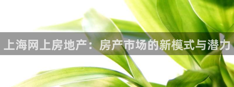 澳门3和记官网：上海网上房地产：房产市场的新模式与潜力