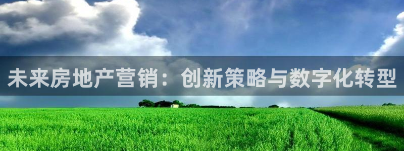 和记娱乐app官网：未来房地产营销：创新策略与数字化转型