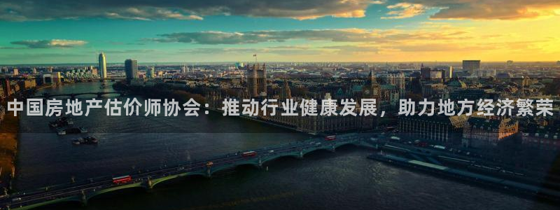 和记3卡官网是哪：中国房地产估价师协会：推动行业健康发展，助
