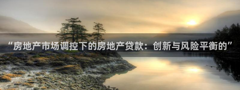 澳门和记电信官网：“房地产市场调控下的房地产贷款：创新与风险