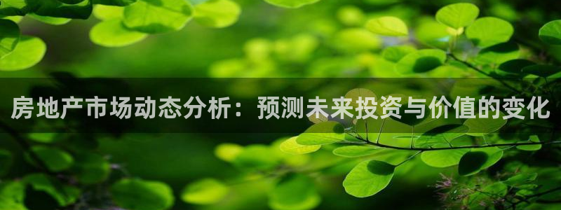 小金库钱包app下载官网和记：房地产市场动态分析：预测未来投