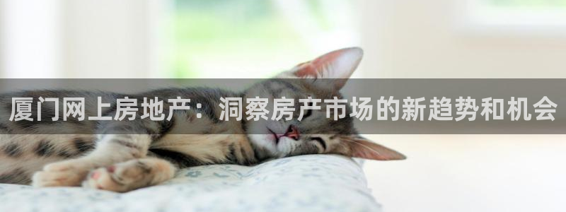 和记黄埔上海官网：厦门网上房地产：洞察房产市场的新趋势和机会