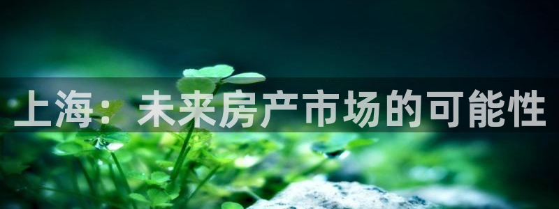 和记娱乐app官网：上海：未来房产市场的可能性