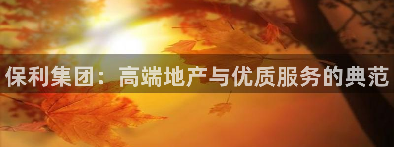 下载和记官网：保利集团：高端地产与优质服务的典范