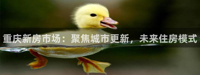 和记官网娱乐场：重庆新房市场：聚焦城市更新，未来住房模式