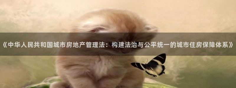 和记手机客户端官网：《中华人民共和国城市房地产管理法：构建法