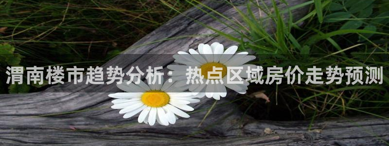 元和记官网：渭南楼市趋势分析：热点区域房价走势预测