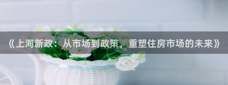 和记娱精湛h88285官网：《上海新政：从市场到政策，重塑住
