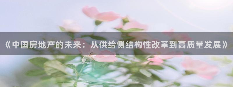 和记国际电讯官网：《中国房地产的未来：从供给侧结构性改革到高