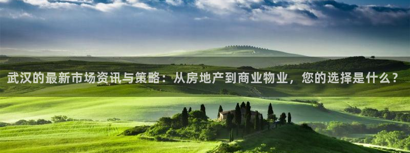 和记电官网：武汉的最新市场资讯与策略：从房地产到商业物业，您