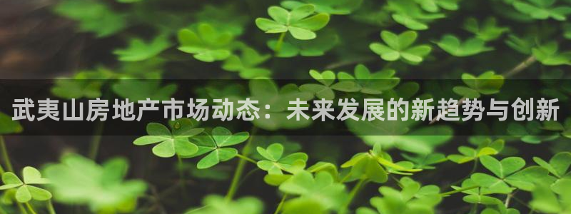 和记港口官网：武夷山房地产市场动态：未来发展的新趋势与创新