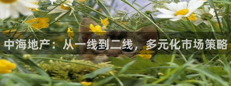香港和记卡官网：中海地产：从一线到二线，多元化市场策略