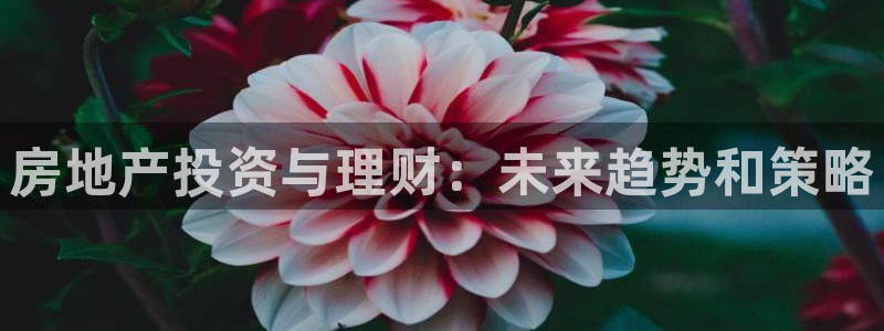 下载和记官网：房地产投资与理财：未来趋势和策略