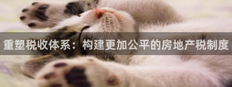 和记隆官网：重塑税收体系：构建更加公平的房地产税制度