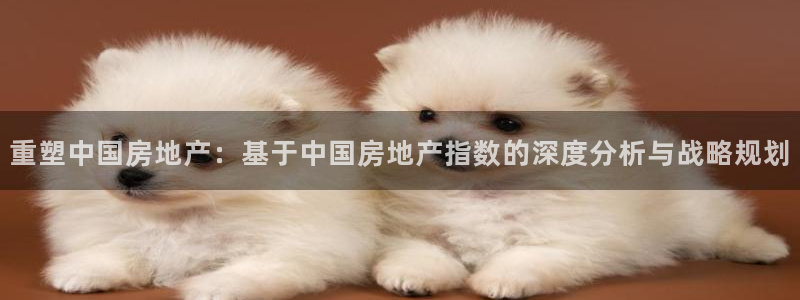 和记旗舰官网：重塑中国房地产：基于中国房地产指数的深度分析与