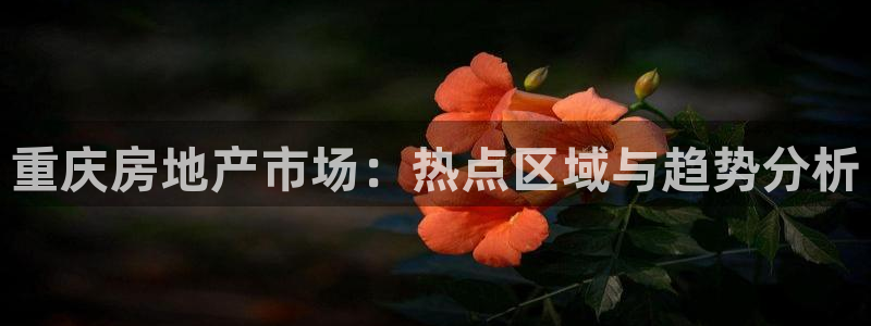 和记洋行官网：重庆房地产市场：热点区域与趋势分析