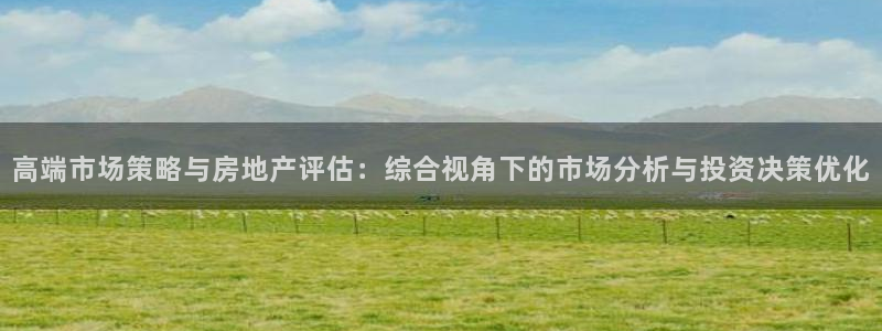 菲律宾和记官网：高端市场策略与房地产评估：综合视角下的市场分