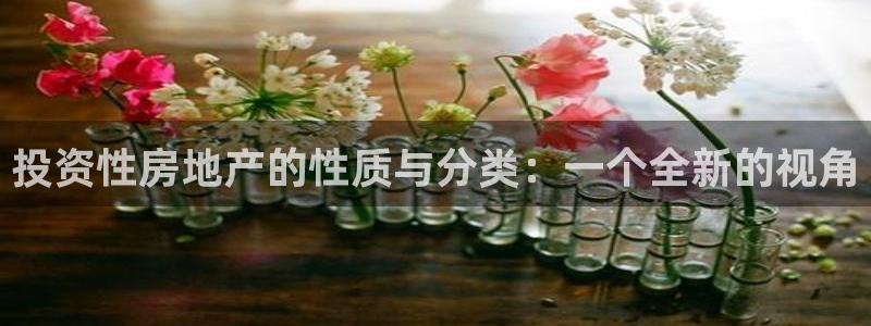 和记电讯官网0机构：投资性房地产的性质与分类：一个全新的视角