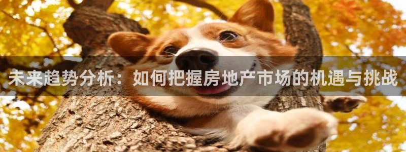 成都和记公司官网：未来趋势分析：如何把握房地产市场的机遇与挑