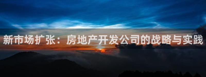 和记官网娱乐场：新市场扩张：房地产开发公司的战略与实践