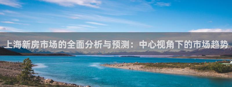 和记hgc官网：上海新房市场的全面分析与预测：中心视角下的市