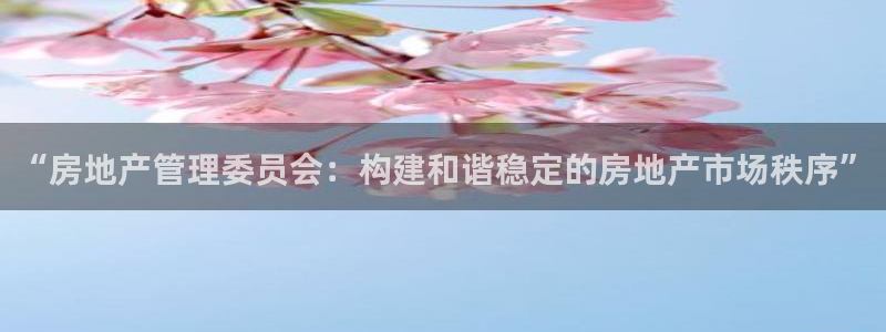 和记娱乐app官网登录：“房地产管理委员会：构建和谐稳定的房