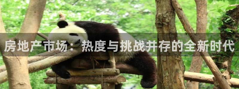 和记娱乐平台官网：房地产市场：热度与挑战并存的全新时代