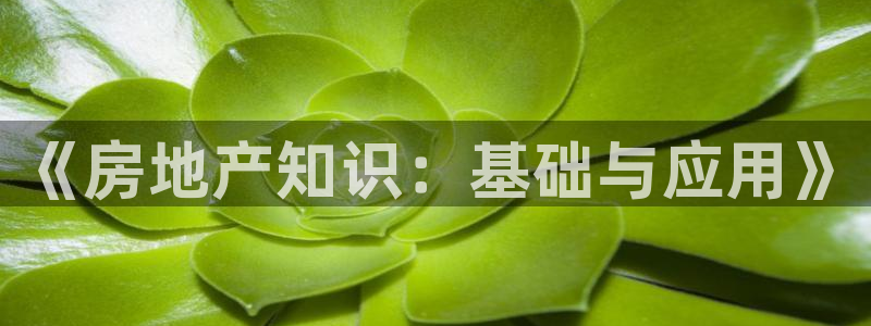 和记国际平台官网：《房地产知识：基础与应用》