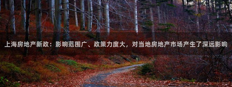 和记官网充值：上海房地产新政：影响范围广、政策力度大，对当地