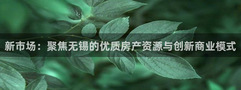 胡和记官网：新市场：聚焦无锡的优质房产资源与创新商业模式
