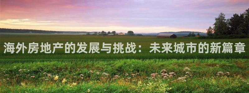 香港和记电讯公司官网：海外房地产的发展与挑战：未来城市的新篇
