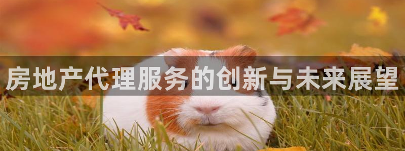 和记国际官网首页：房地产代理服务的创新与未来展望