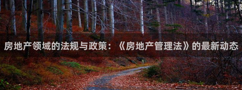 和生记官网：房地产领域的法规与政策：《房地产管理法》的最新动