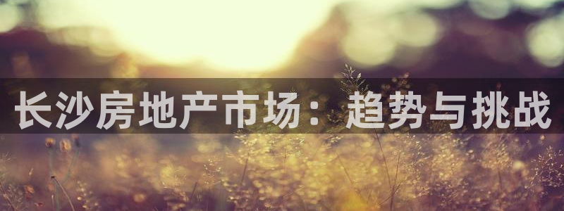 和记国际官网电话：长沙房地产市场：趋势与挑战