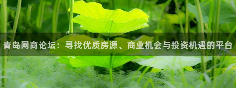 和记app官网：青岛网商论坛：寻找优质房源、商业机会与投资机