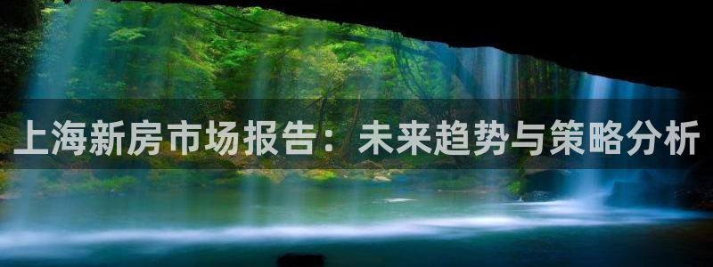 和记电信官网：上海新房市场报告：未来趋势与策略分析