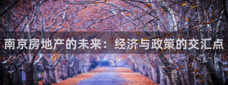 和记app官网登录：南京房地产的未来：经济与政策的交汇点