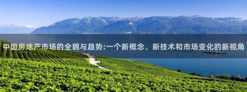 和记国际官网首页：中国房地产市场的全貌与趋势:一个新概念、新