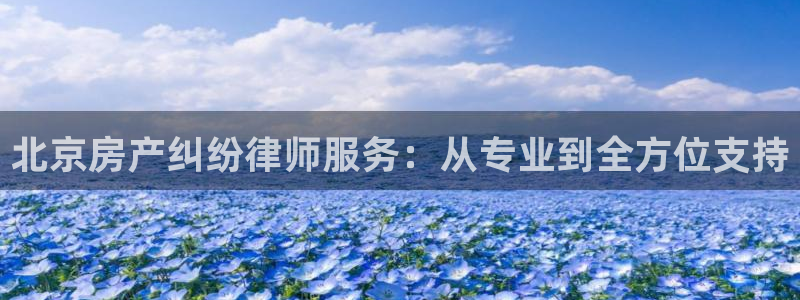 和记体育官网：北京房产纠纷律师服务：从专业到全方位支持