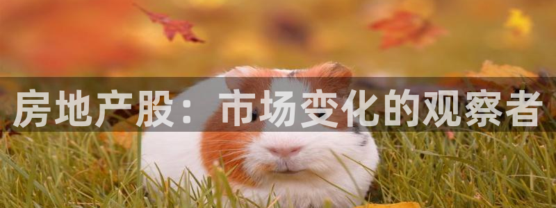 和记娱乐捕鱼官网：房地产股：市场变化的观察者