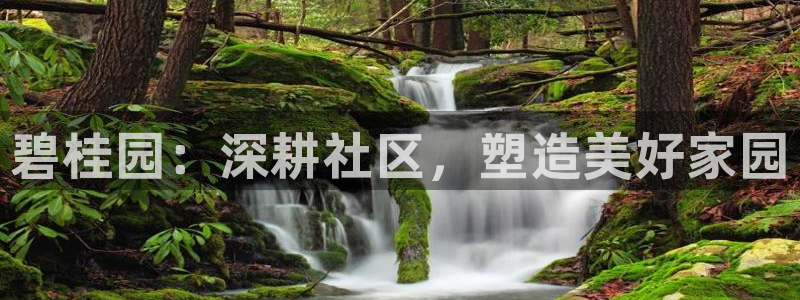 和记娱乐 官网：碧桂园：深耕社区，塑造美好家园