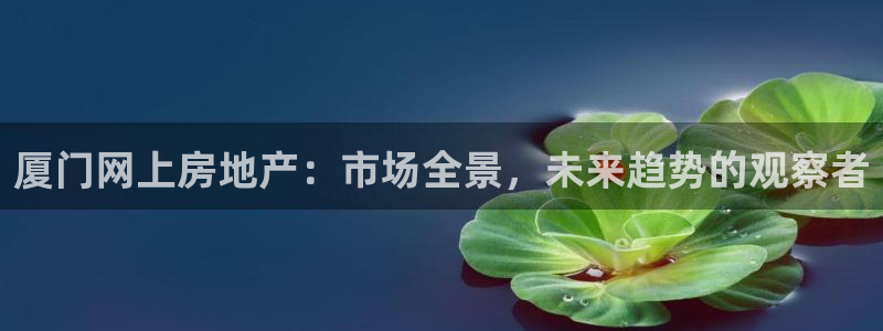 白云 和记黄埔官网：厦门网上房地产：市场全景，未来趋势的观察