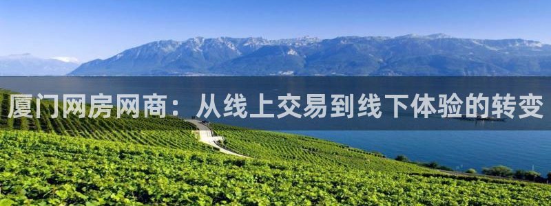 和记电讯app官网：厦门网房网商：从线上交易到线下体验的转变