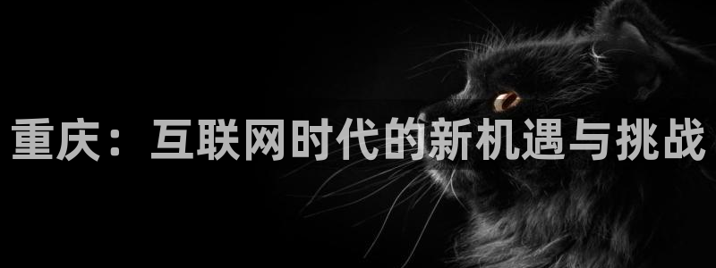 和记188官网：重庆：互联网时代的新机遇与挑战