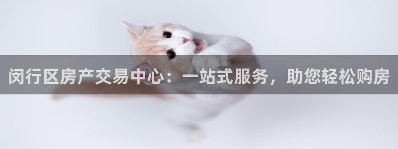 和记香港官网：闵行区房产交易中心：一站式服务，助您轻松购房