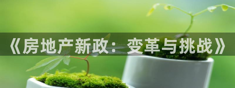 和记国际官网电话：《房地产新政：变革与挑战》