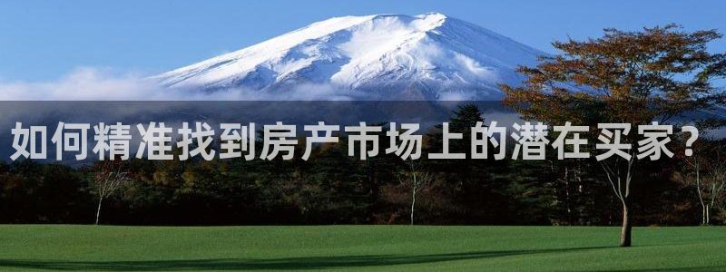 和记电官网：如何精准找到房产市场上的潜在买家？