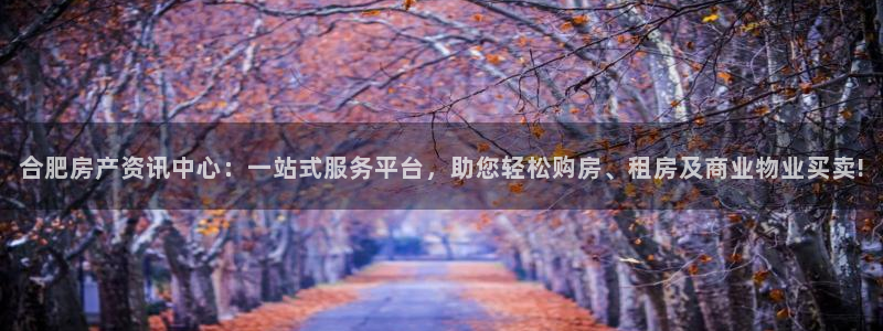 和记娱乐平台官网：合肥房产资讯中心：一站式服务平台，助您轻松